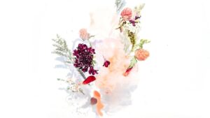  Aquarela de natureza