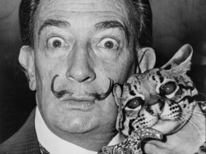 Dalí Dalí