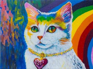 Renô O gato diversidade Renô O gato diversidade